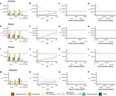 Haplotype blocks for genomic prediction: a comparative evaluation in multiple crop datasets